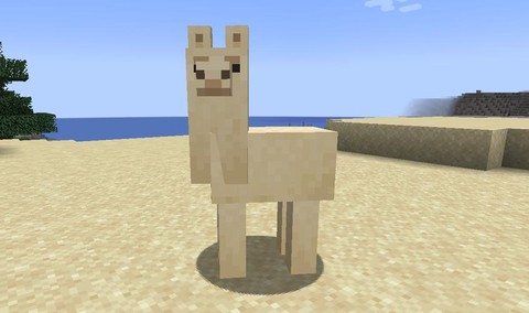 我的世界里羊驼吃什么[图2]