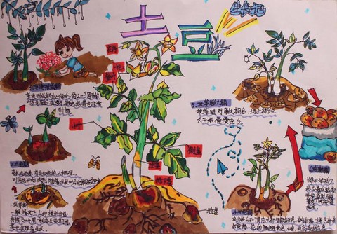 我的世界土豆怎么种[图1]