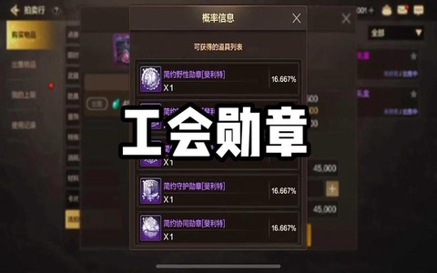 dnf徽章怎么用啊[图2]