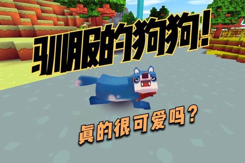 迷你世界的狗怎么训[图2]