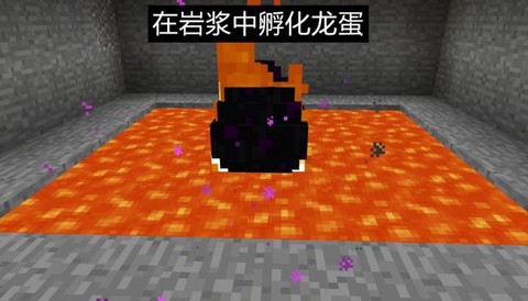 我的世界手机版末影龙蛋怎么孵化[图2]