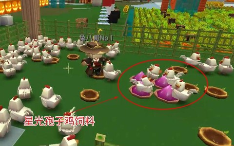 迷你世界怎么喂食鸡