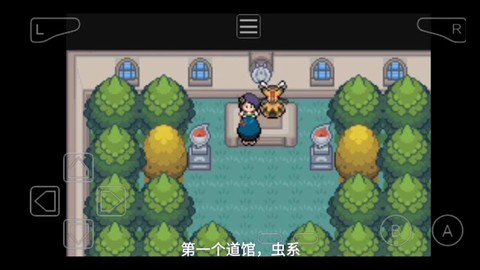 口袋妖怪白金光御龙市怎么去[图2]