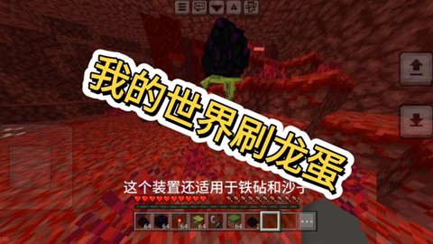 我的世界手机版怎么孵化龙蛋