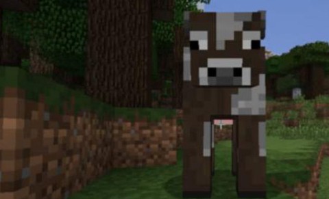 我的世界怎么吸引动物[图1]