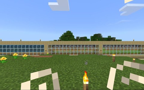 迷你世界怎么种海带