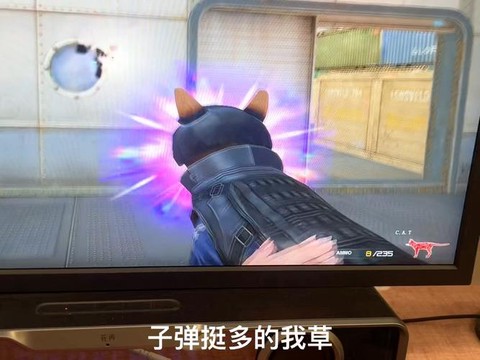 穿越火线的猫怎么弄[图1]