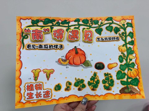 迷你世界南瓜怎么种植