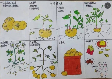 我的世界怎么种马铃薯[图2]